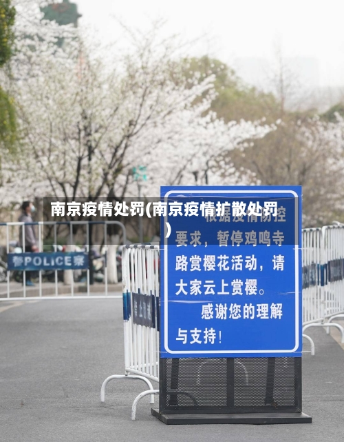 南京疫情处罚(南京疫情扩散处罚)-第2张图片