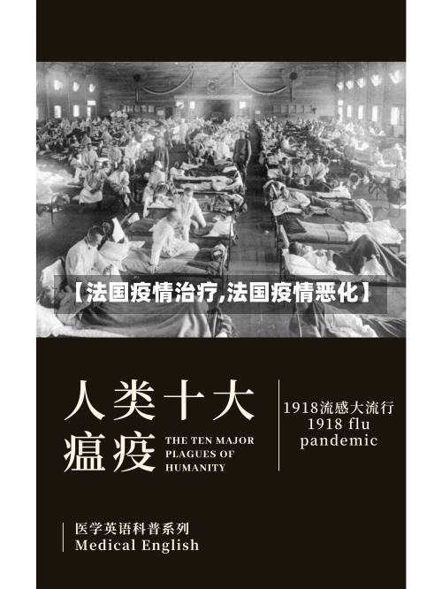 【法国疫情治疗,法国疫情恶化】-第3张图片