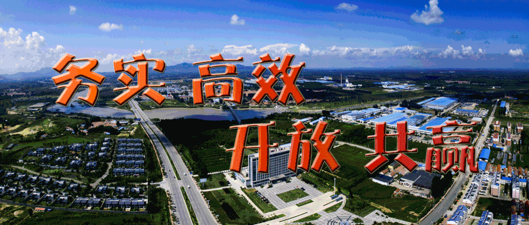 疫情动态q(疫情动态信息)