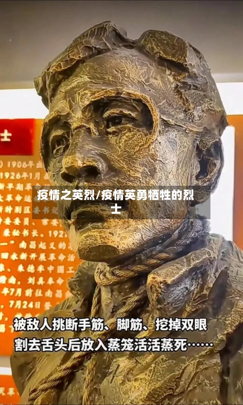 疫情之英烈/疫情英勇牺牲的烈士