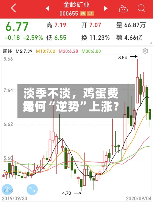 淡季不淡，鸡蛋费用缘何“逆势”上涨？-第2张图片