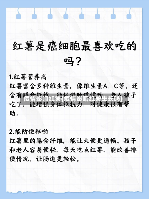 疫情影响红薯(疫情影响红薯生长吗)-第3张图片