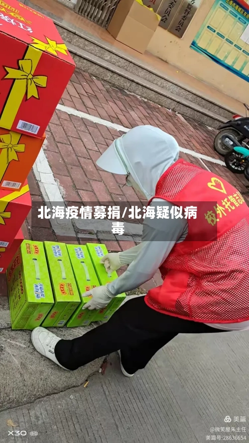 北海疫情募捐/北海疑似病毒-第2张图片