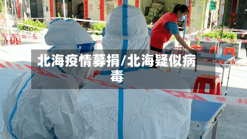 北海疫情募捐/北海疑似病毒