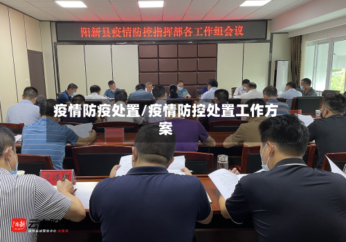疫情防疫处置/疫情防控处置工作方案-第2张图片