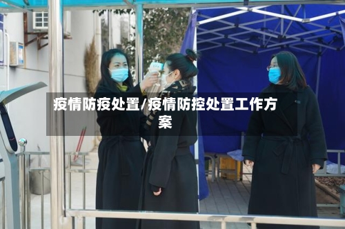 疫情防疫处置/疫情防控处置工作方案-第3张图片