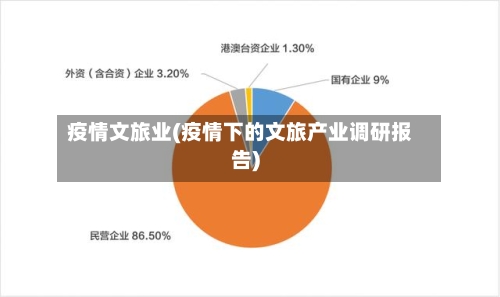 疫情文旅业(疫情下的文旅产业调研报告)