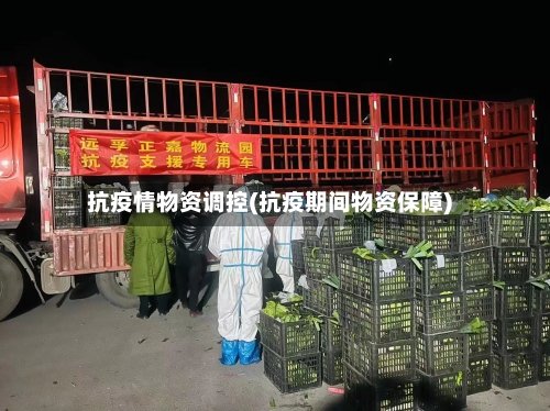 抗疫情物资调控(抗疫期间物资保障)-第2张图片