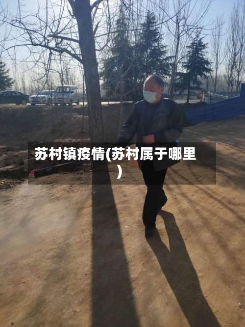 苏村镇疫情(苏村属于哪里)