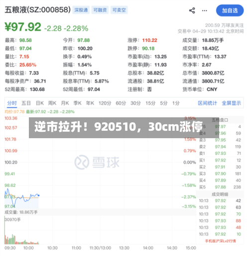 逆市拉升！920510，30cm涨停-第2张图片
