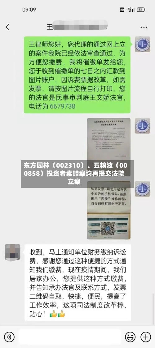 东方园林（002310）、五粮液（000858）投资者索赔案均再提交法院立案-第2张图片