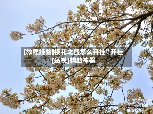 [教程经验]樱花之盛怎么开挂”开挂(透视)辅助神器-第2张图片