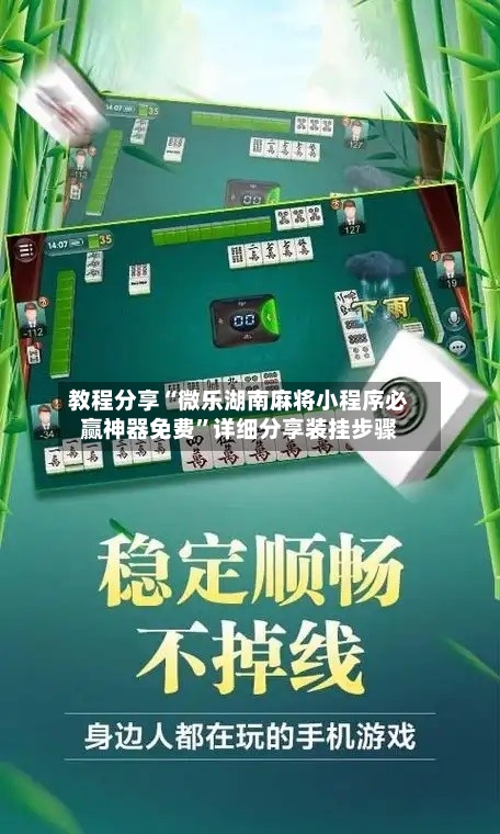 教程分享“微乐湖南麻将小程序必赢神器免费”详细分享装挂步骤-第2张图片