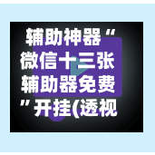 辅助神器“微信十三张辅助器免费”开挂(透视)最新辅助详细-第2张图片