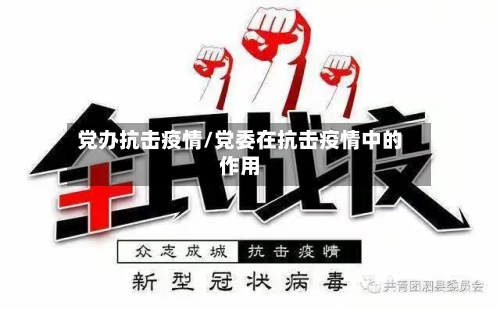 党办抗击疫情/党委在抗击疫情中的作用