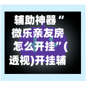 辅助神器“微乐亲友房怎么开挂”(透视)开挂辅助脚本+详细开挂安装教程-第3张图片