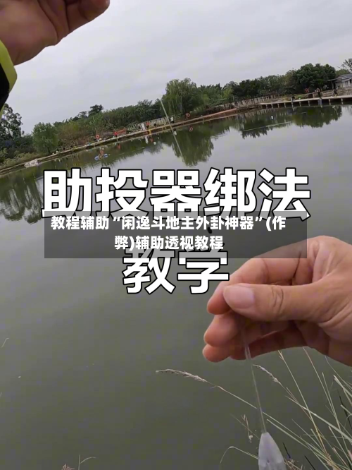 教程辅助“闲逸斗地主外卦神器”(作弊)辅助透视教程-第3张图片