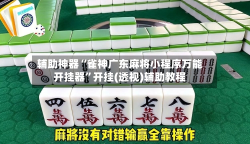 辅助神器“雀神广东麻将小程序万能开挂器”开挂(透视)辅助教程-第2张图片