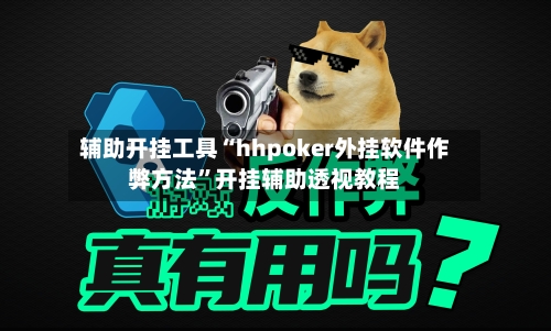 辅助开挂工具“hhpoker外挂软件作弊方法”开挂辅助透视教程-第2张图片