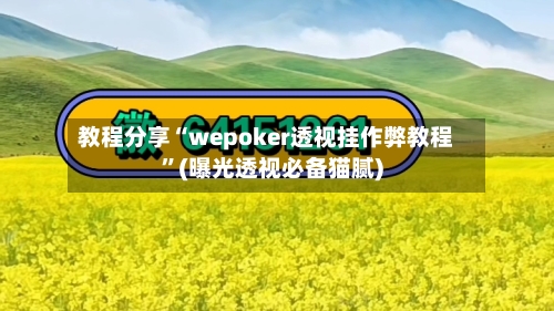 教程分享“wepoker透视挂作弊教程	”(曝光透视必备猫腻)-第2张图片