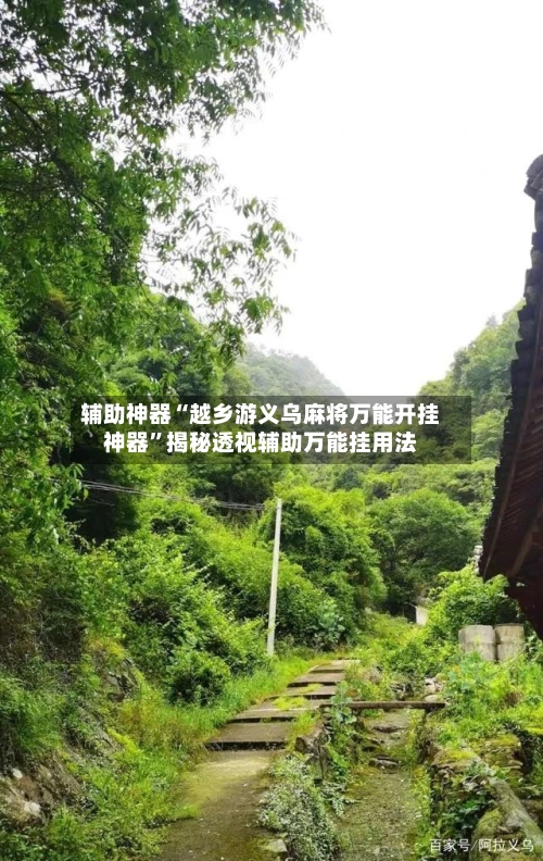 辅助神器“越乡游义乌麻将万能开挂神器”揭秘透视辅助万能挂用法-第2张图片