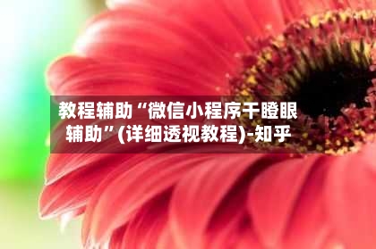 教程辅助“微信小程序干瞪眼辅助	”(详细透视教程)-知乎-第2张图片