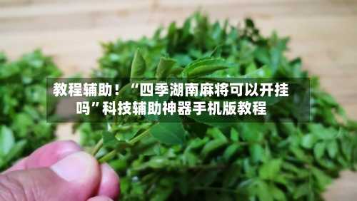 教程辅助！“四季湖南麻将可以开挂吗	”科技辅助神器手机版教程-第2张图片