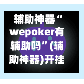 辅助神器“wepoker有辅助吗”(辅助神器)开挂详细教程-第2张图片