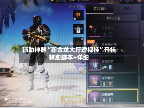 辅助神器“新金龙大厅透视挂	”开挂辅助脚本+详细-第2张图片