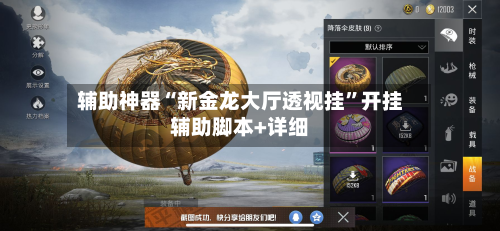 辅助神器“新金龙大厅透视挂”开挂辅助脚本+详细-第3张图片