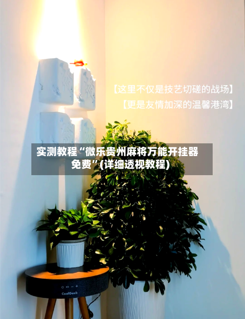 实测教程“微乐贵州麻将万能开挂器免费	”(详细透视教程)-第2张图片