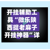 开挂辅助工具“微乐陕西捉老麻子开挂神器”详细分享装挂步骤教程-第3张图片