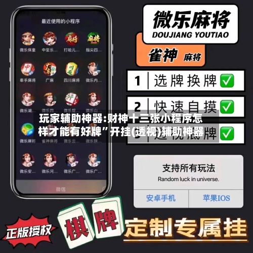 玩家辅助神器:财神十三张小程序怎样才能有好牌”开挂(透视)辅助神器-第3张图片