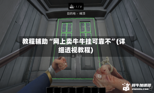 教程辅助“网上卖牛牛挂可靠不”(详细透视教程)-第2张图片