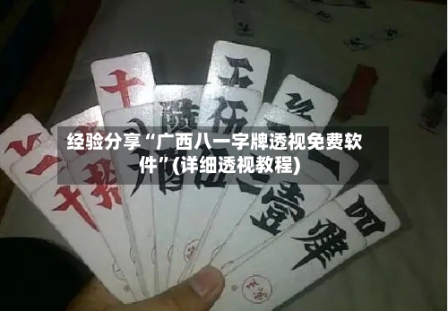经验分享“广西八一字牌透视免费软件”(详细透视教程)-第2张图片