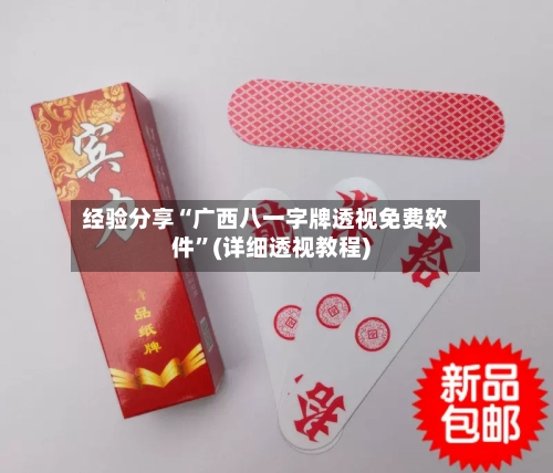 经验分享“广西八一字牌透视免费软件”(详细透视教程)-第3张图片