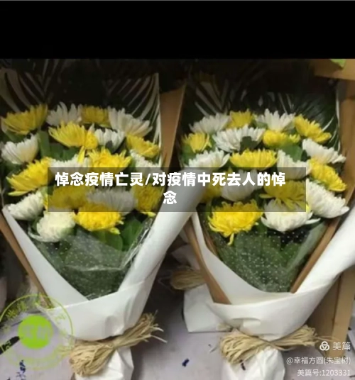 悼念疫情亡灵/对疫情中死去人的悼念-第2张图片
