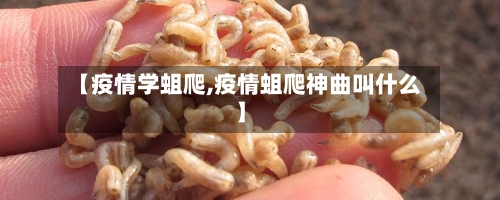 【疫情学蛆爬,疫情蛆爬神曲叫什么】