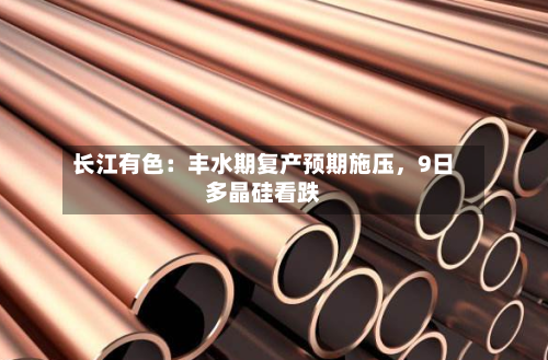 长江有色：丰水期复产预期施压	，9日多晶硅看跌-第2张图片