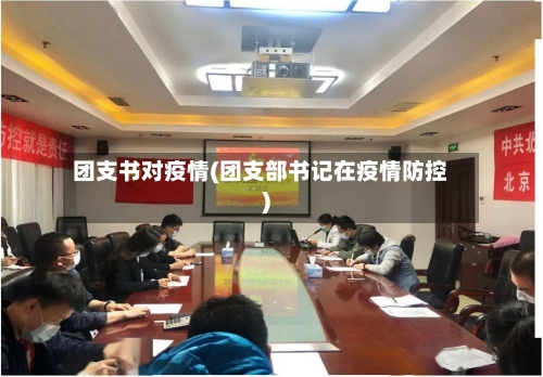 团支书对疫情(团支部书记在疫情防控)-第3张图片