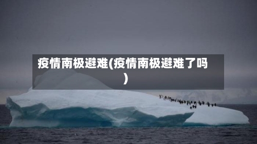 疫情南极避难(疫情南极避难了吗)