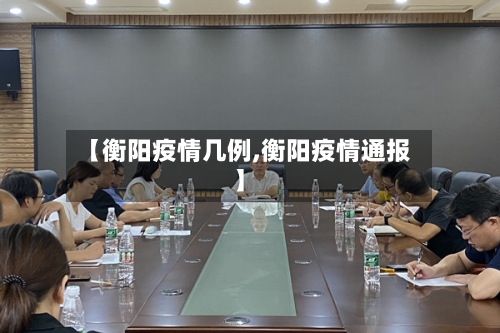 【衡阳疫情几例,衡阳疫情通报】