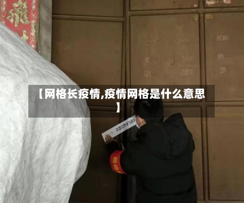 【网格长疫情,疫情网格是什么意思】-第2张图片