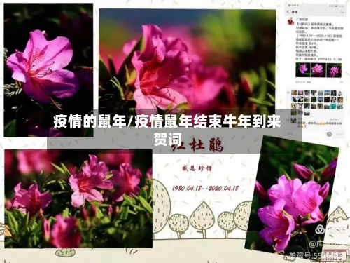 疫情的鼠年/疫情鼠年结束牛年到来贺词