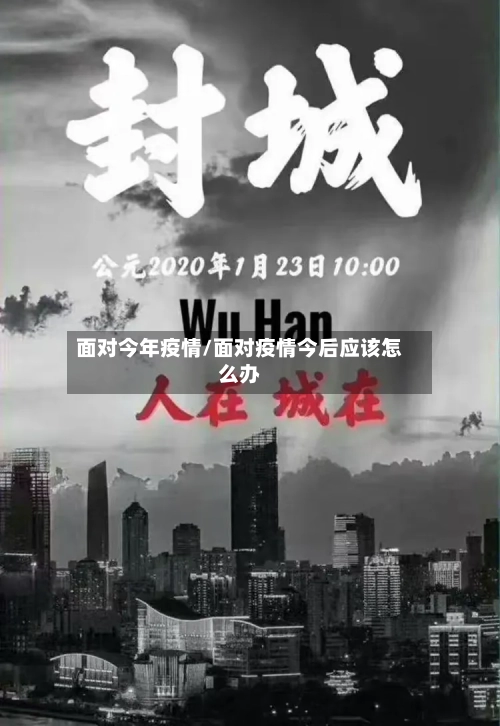 面对今年疫情/面对疫情今后应该怎么办-第2张图片