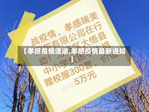 【孝感疫情速递,孝感疫情最新通知】-第3张图片