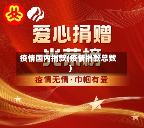 疫情国内捐款(疫情捐款总数)-第3张图片