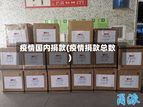 疫情国内捐款(疫情捐款总数)-第2张图片