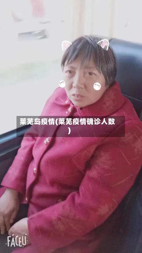 莱芜岛疫情(莱芜疫情确诊人数)-第3张图片