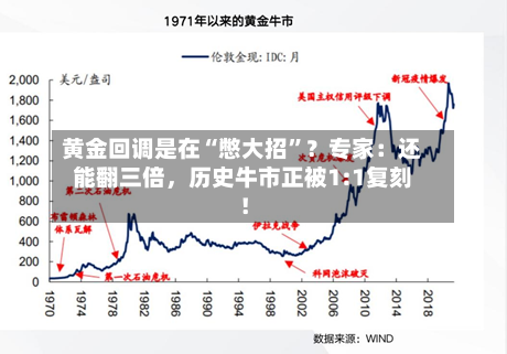 黄金回调是在“憋大招”？专家：还能翻三倍，历史牛市正被1:1复刻！-第2张图片